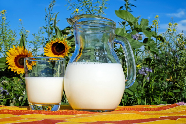 fresh milk dairy