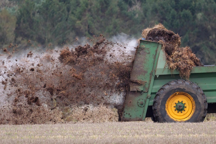 Manure spreading on field