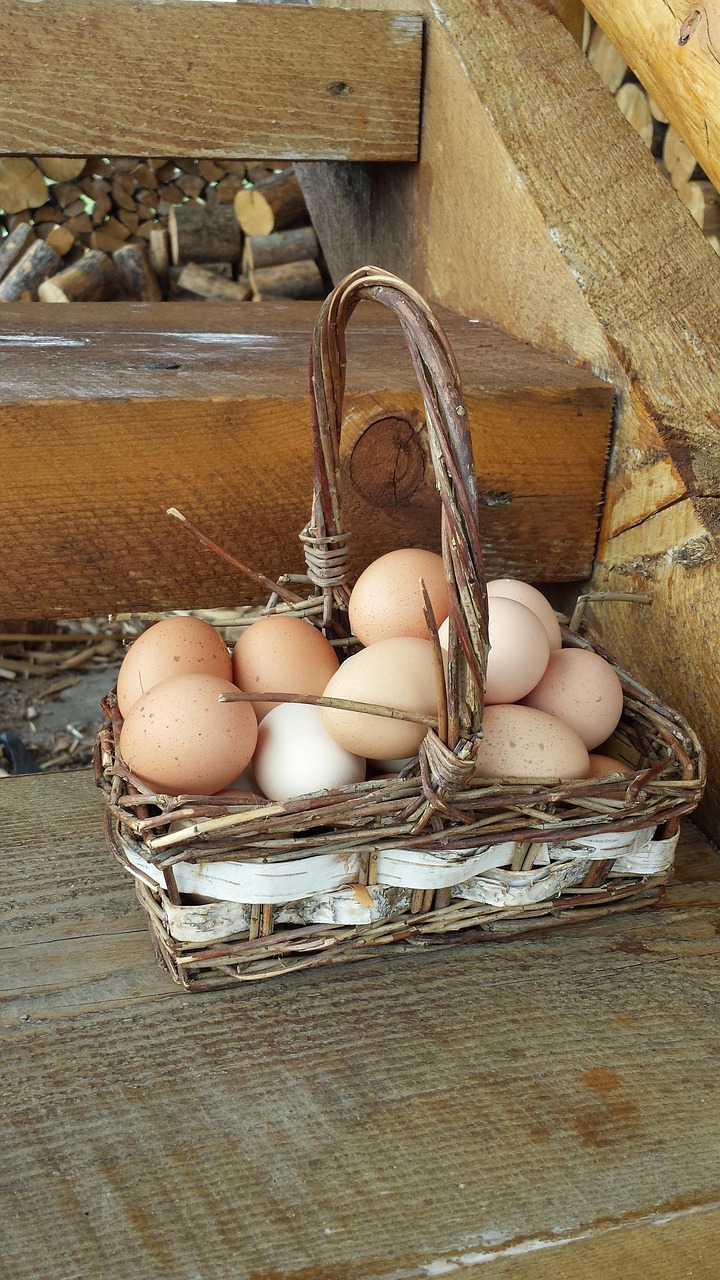 Basket of farm eggs